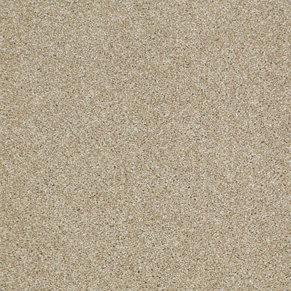 TEXTURE BCF