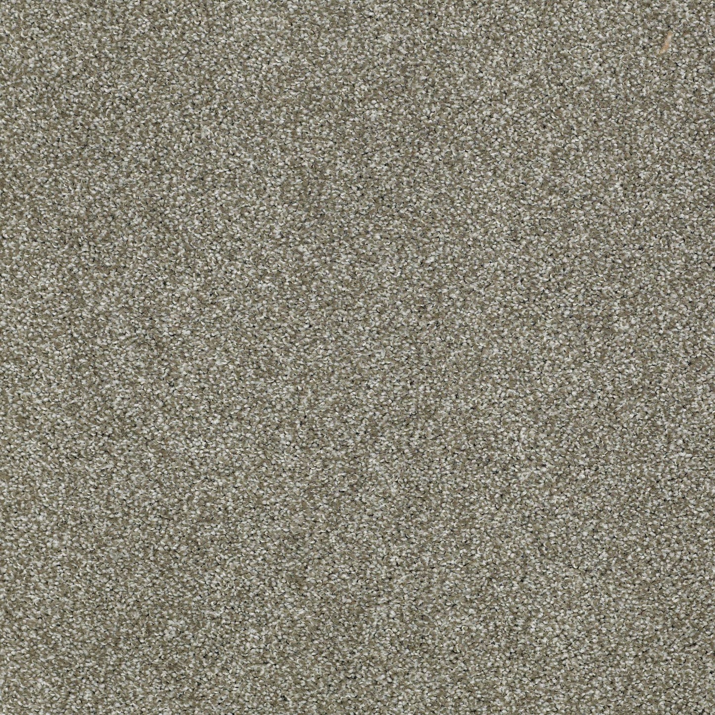 TEXTURE BCF