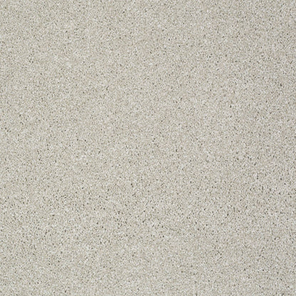 TEXTURE BCF