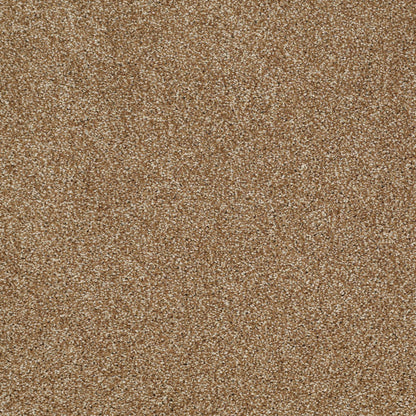 TEXTURE BCF