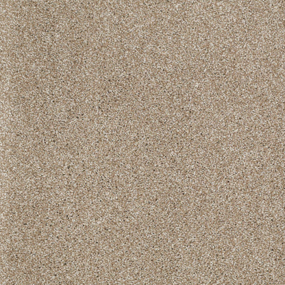 TEXTURE BCF