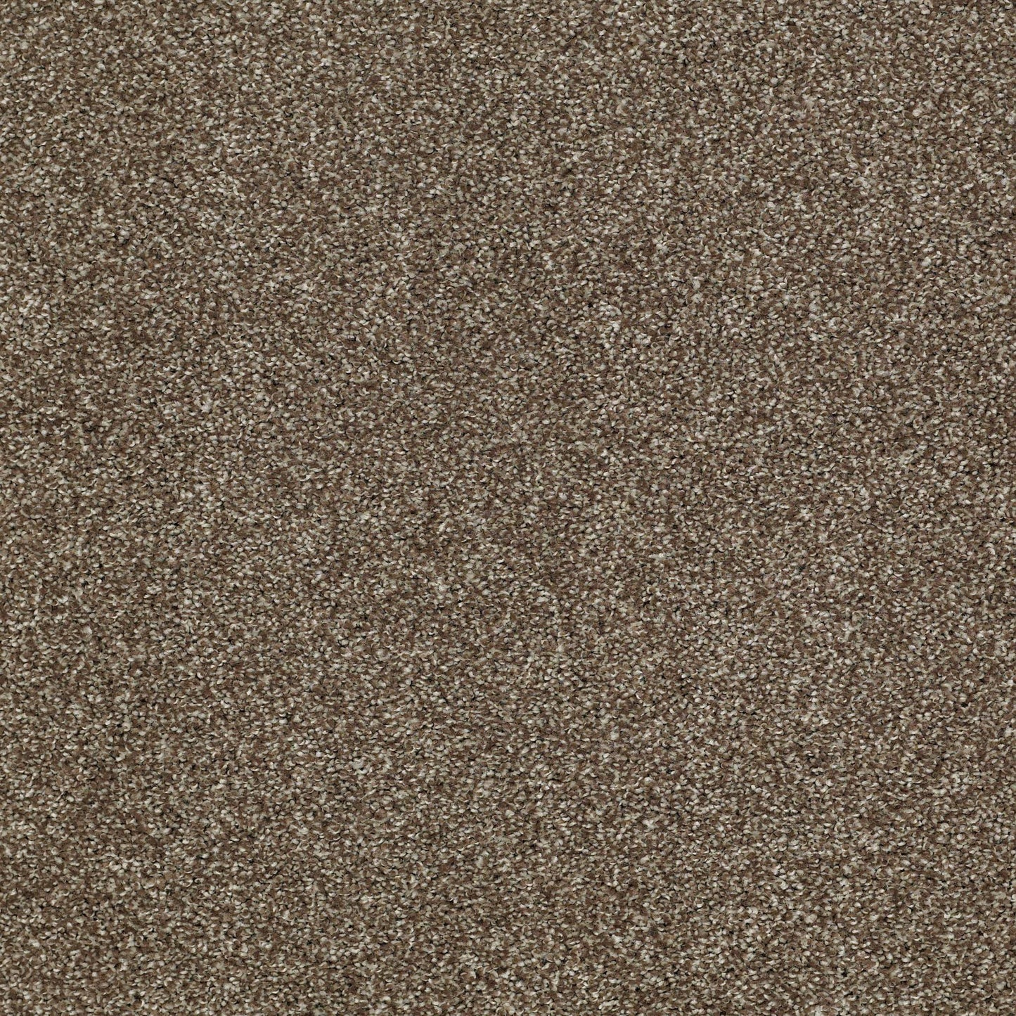 TEXTURE BCF