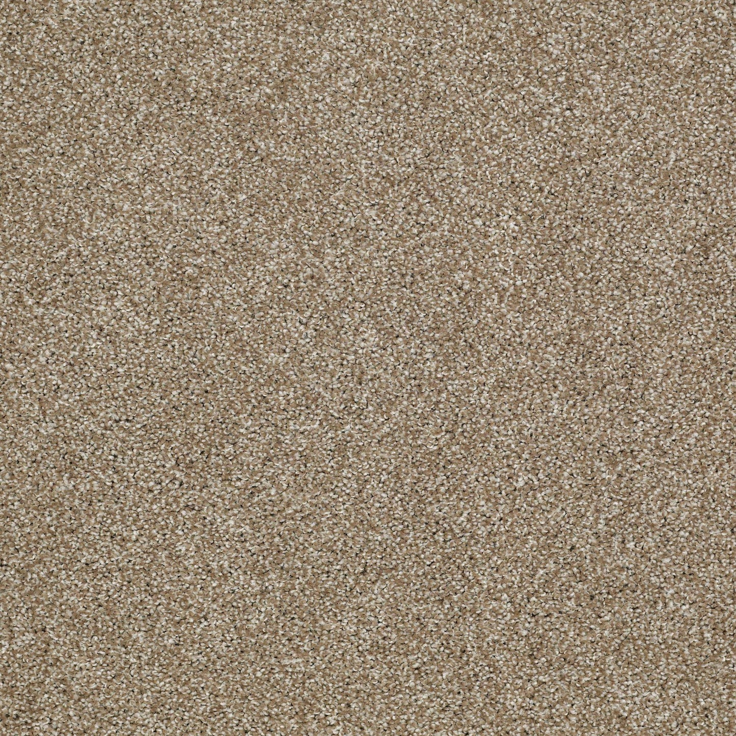 TEXTURE BCF