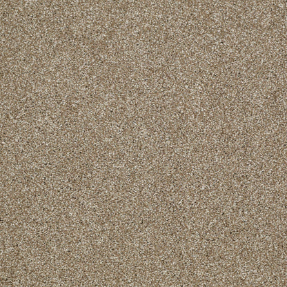 TEXTURE BCF