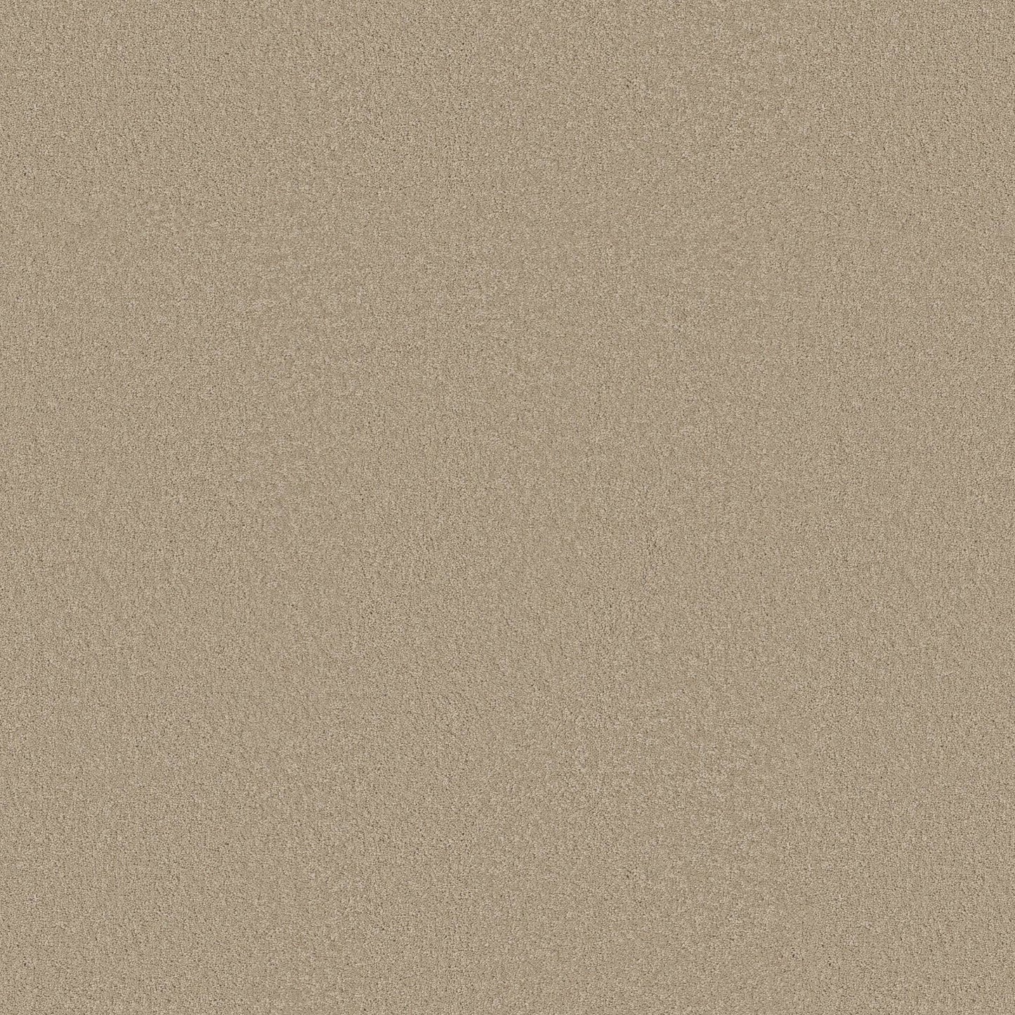 TEXTURE BCF