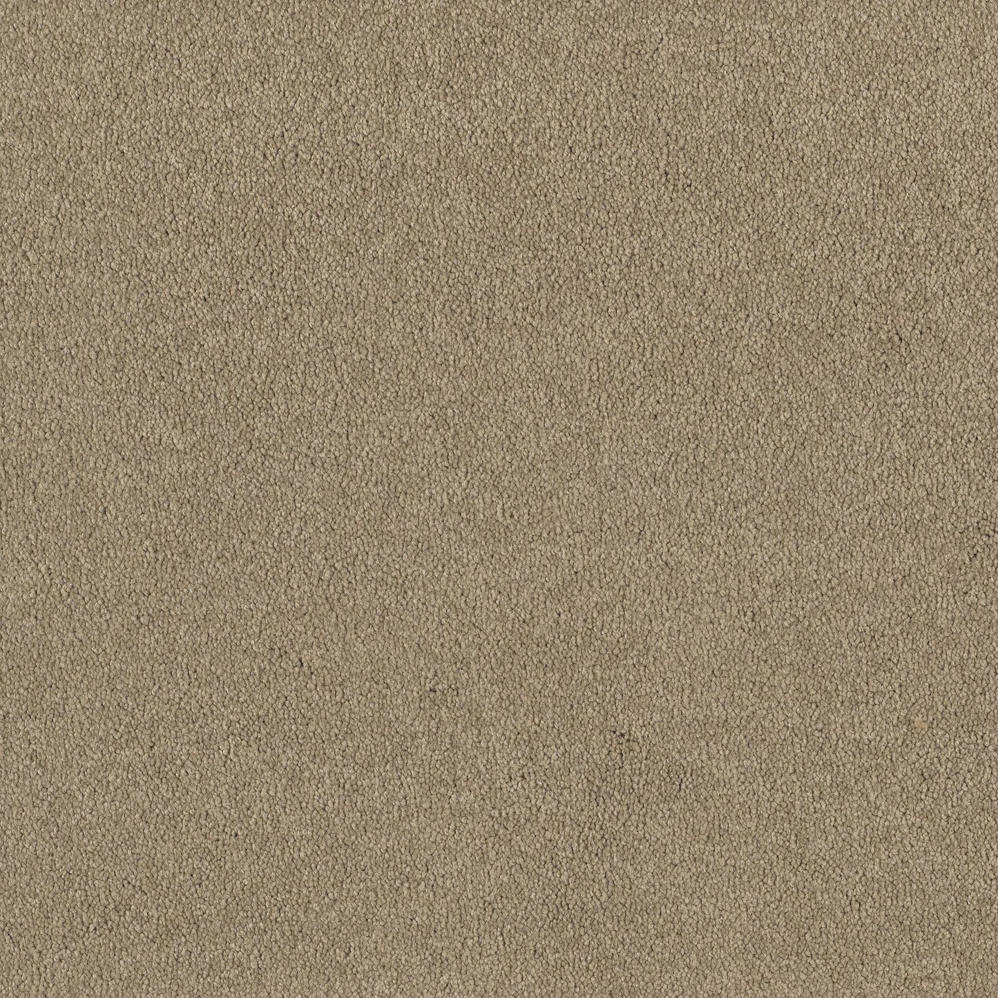 TEXTURE BCF