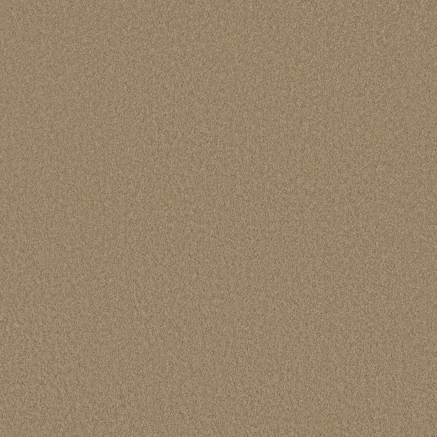 TEXTURE BCF