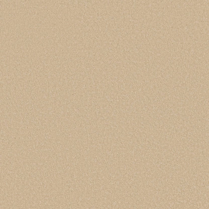 TEXTURE BCF