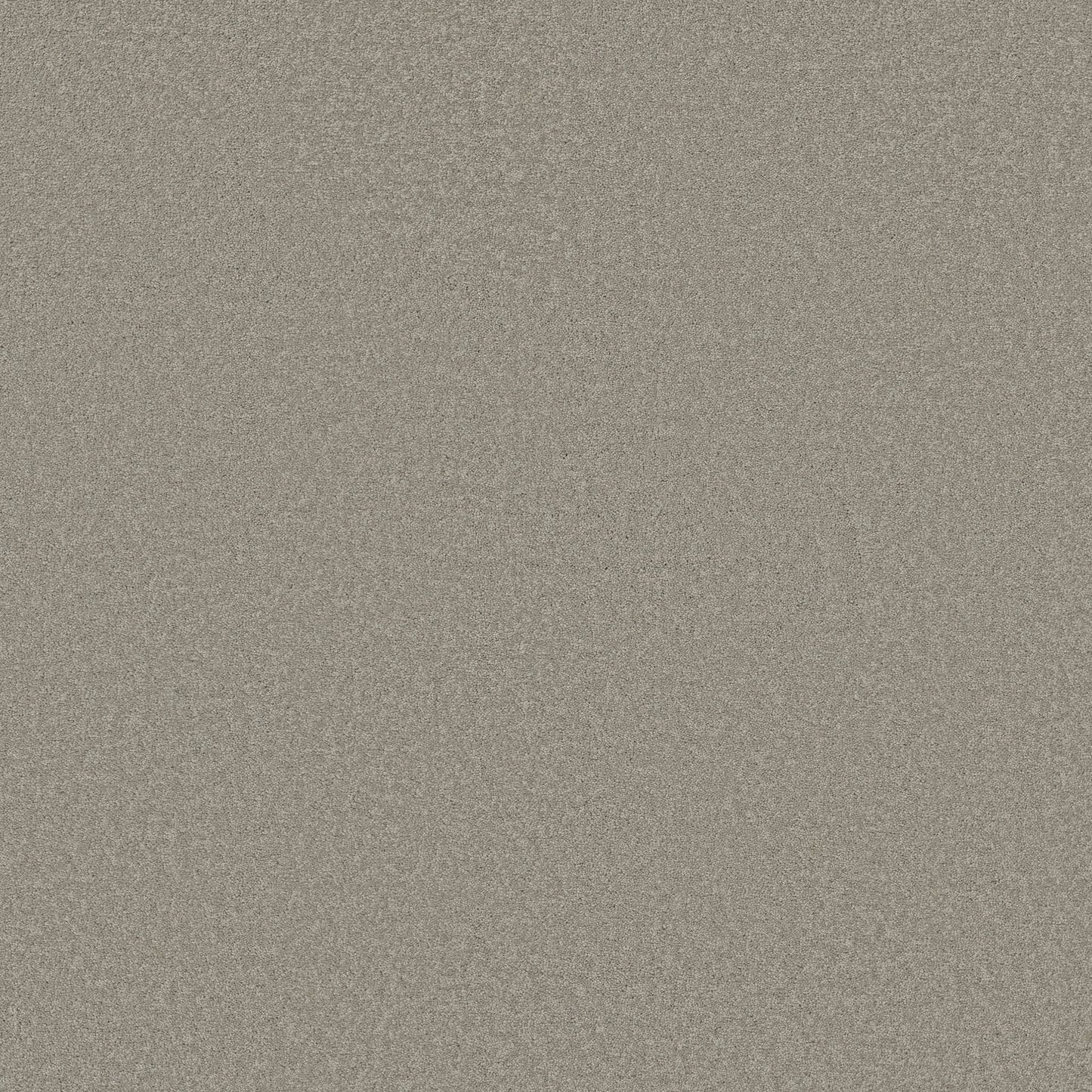 TEXTURE BCF