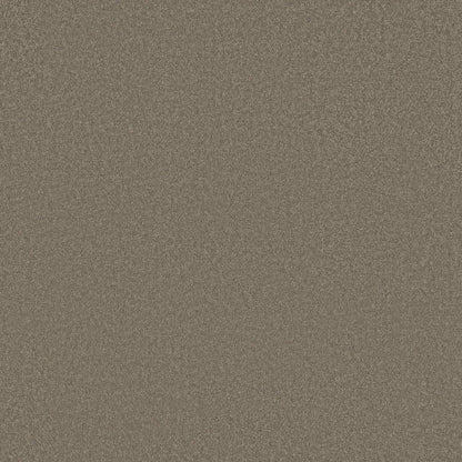 TEXTURE BCF
