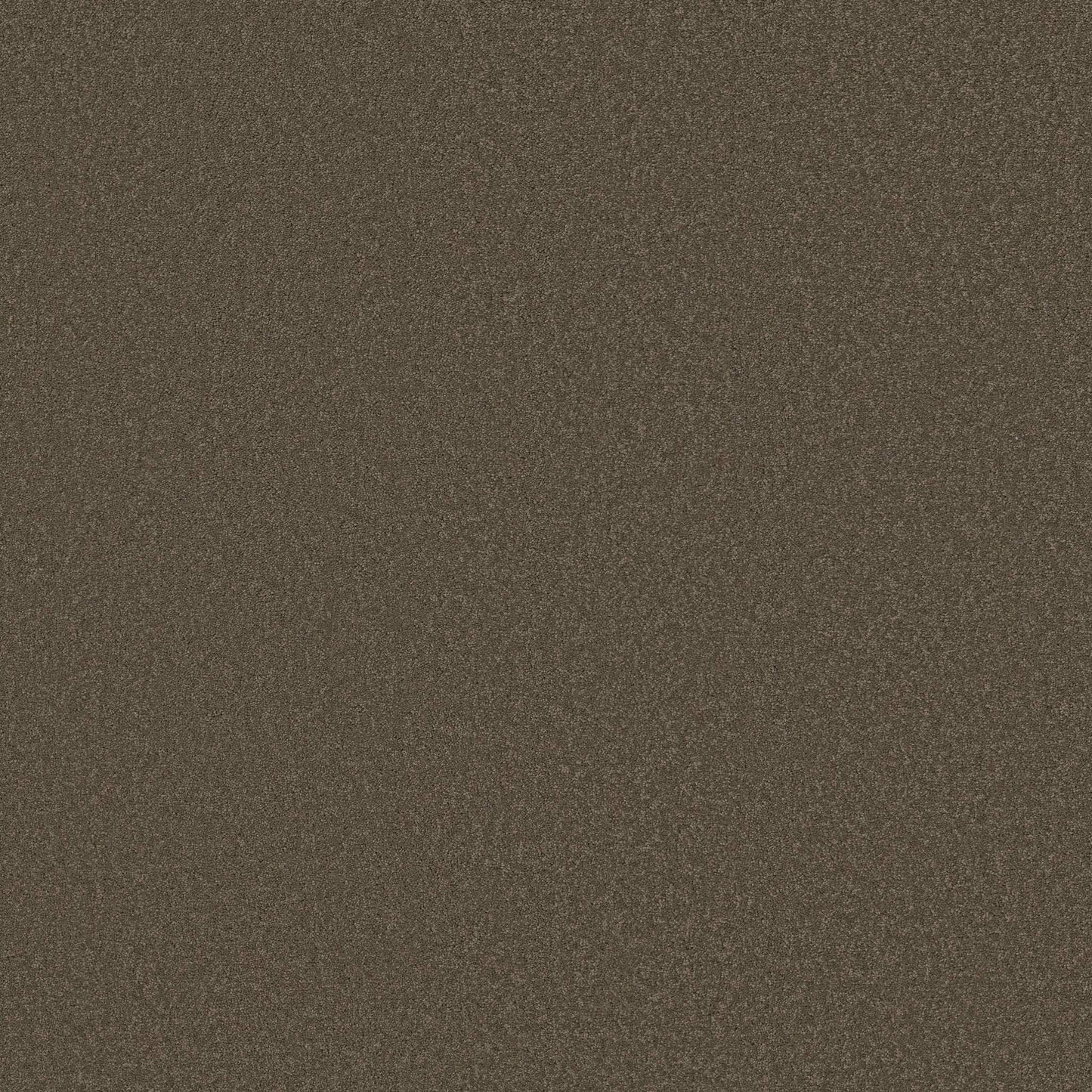 TEXTURE BCF