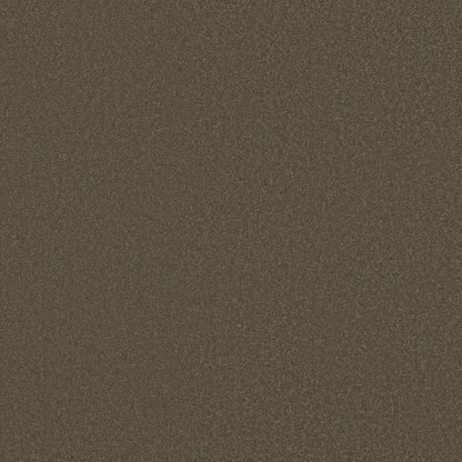 TEXTURE BCF