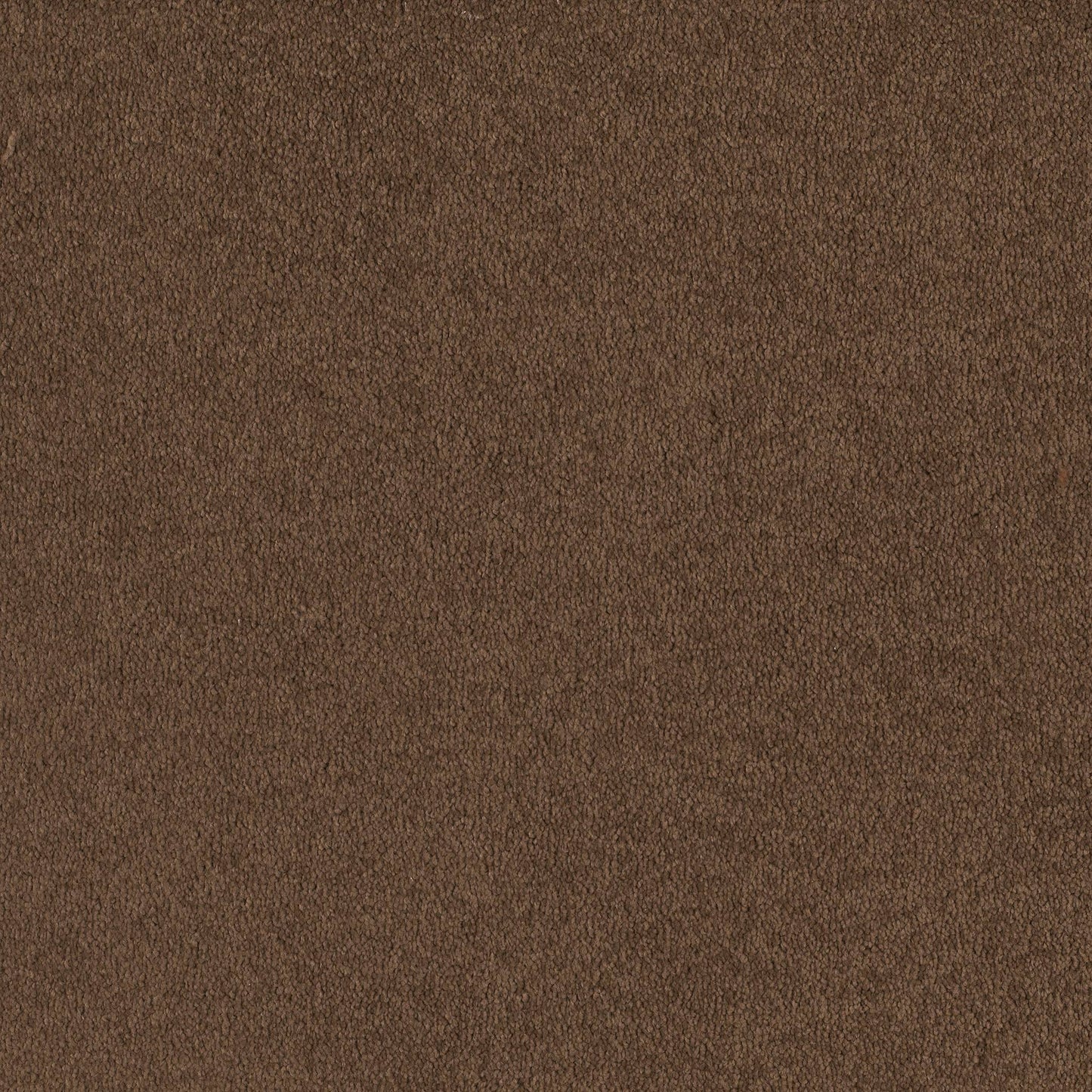 TEXTURE BCF