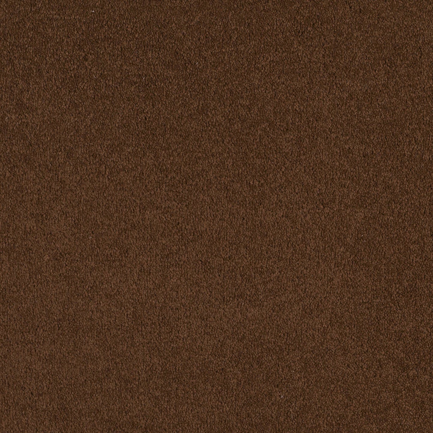 TEXTURE BCF