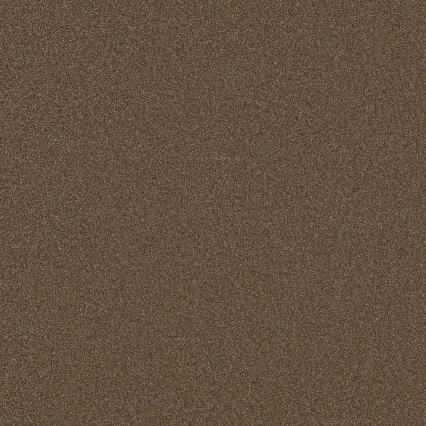 TEXTURE BCF