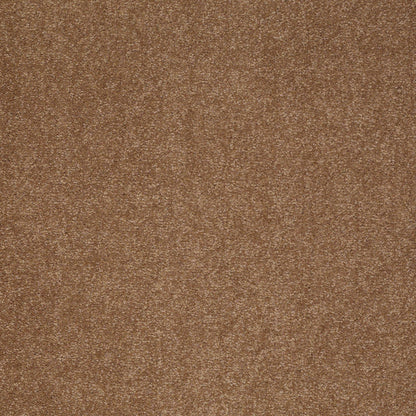 TEXTURE BCF