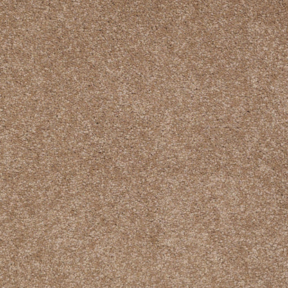 TEXTURE BCF