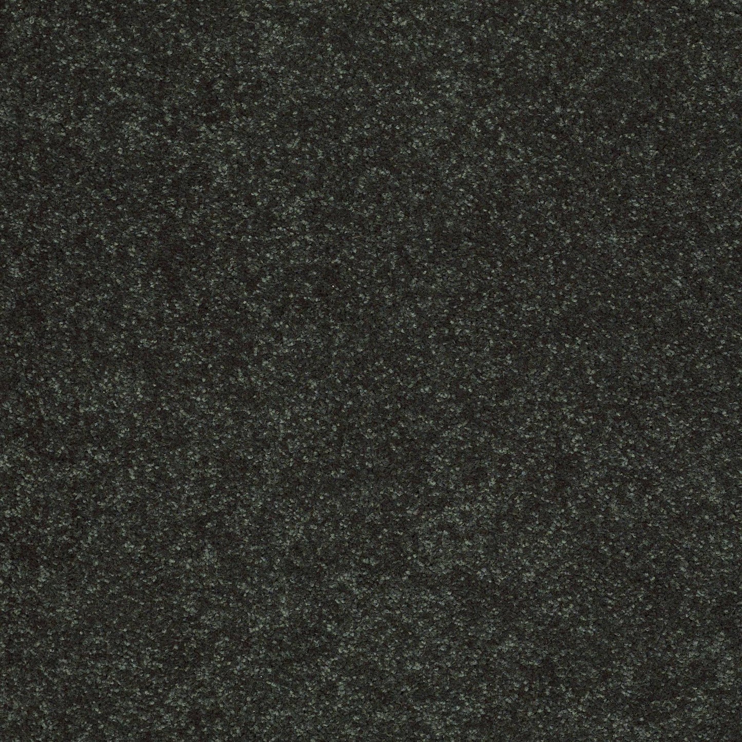 TEXTURE BCF