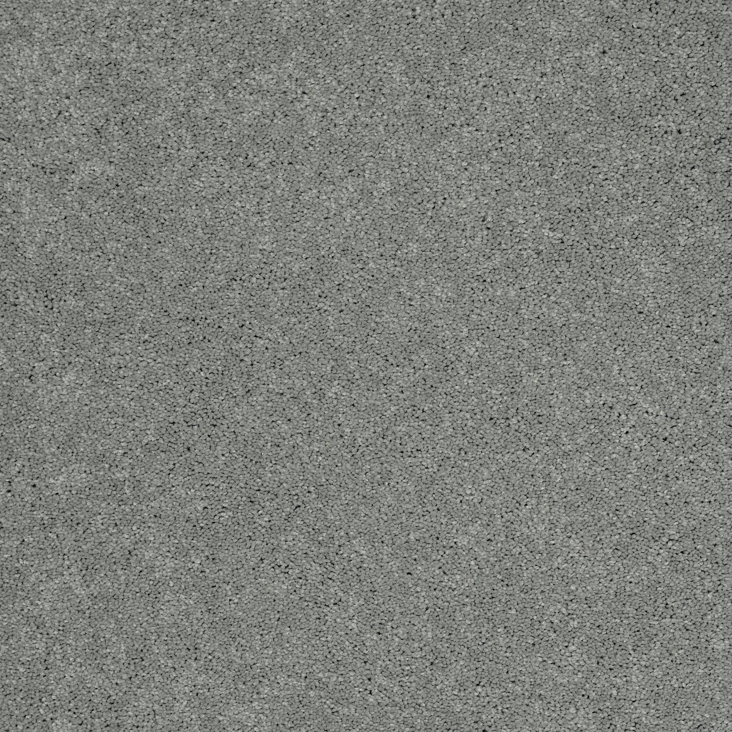TEXTURE BCF