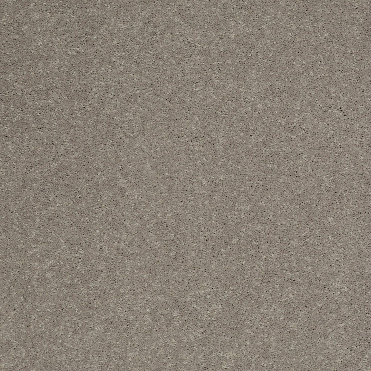 TEXTURE BCF