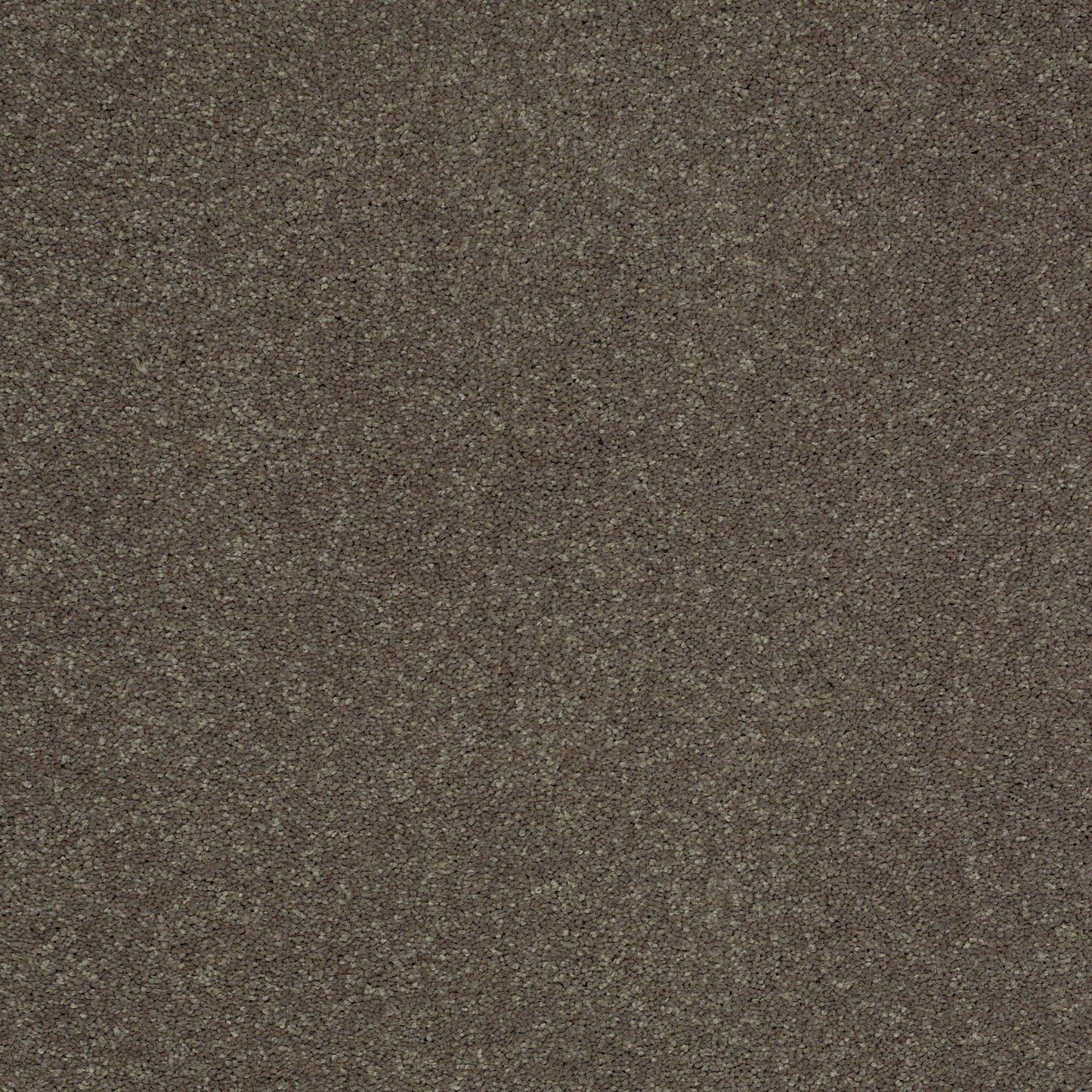 TEXTURE BCF