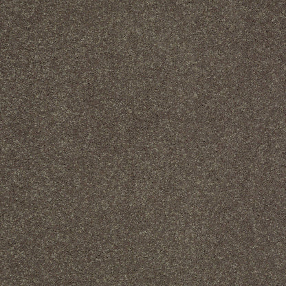 TEXTURE BCF