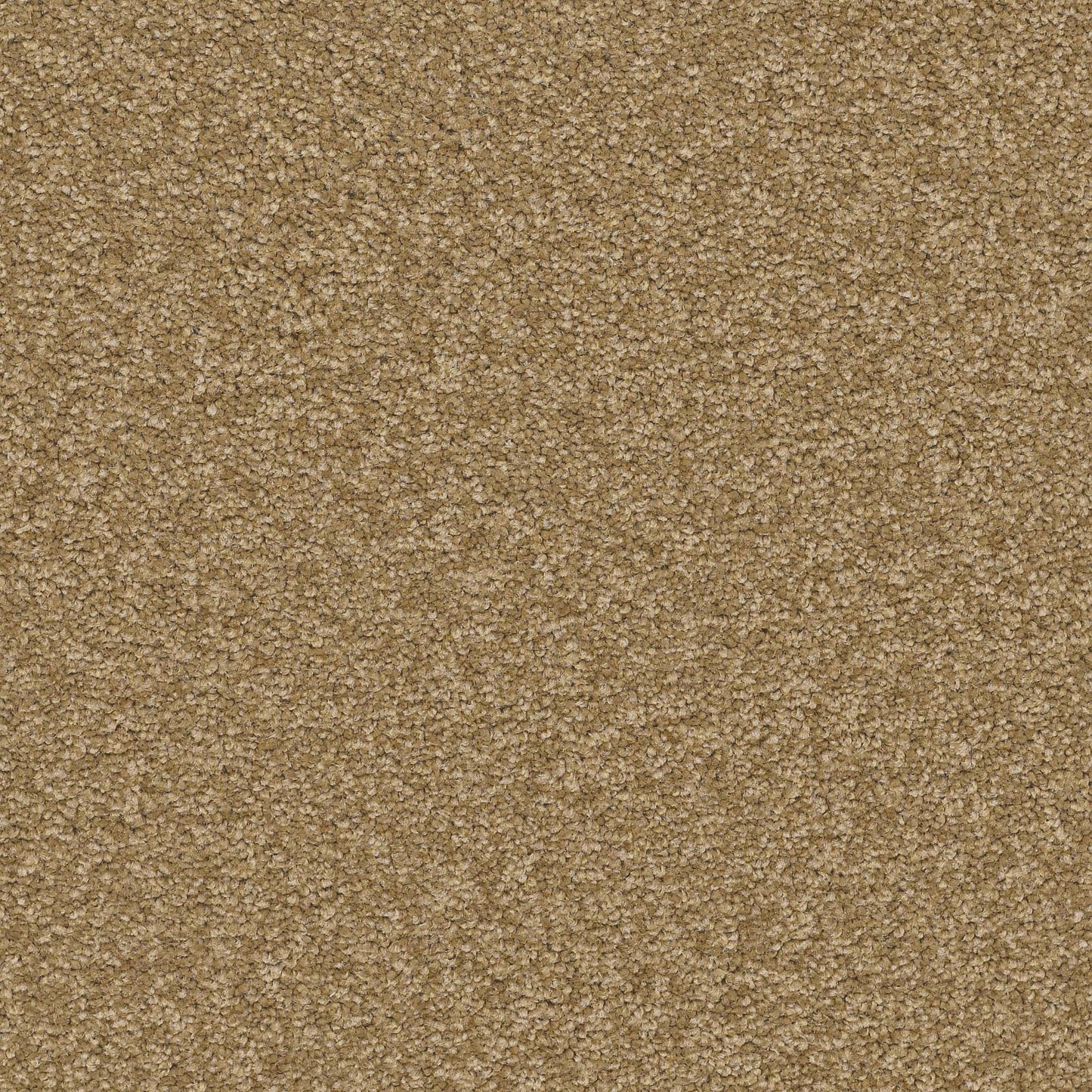 TEXTURE BCF