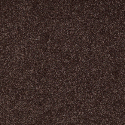TEXTURE BCF