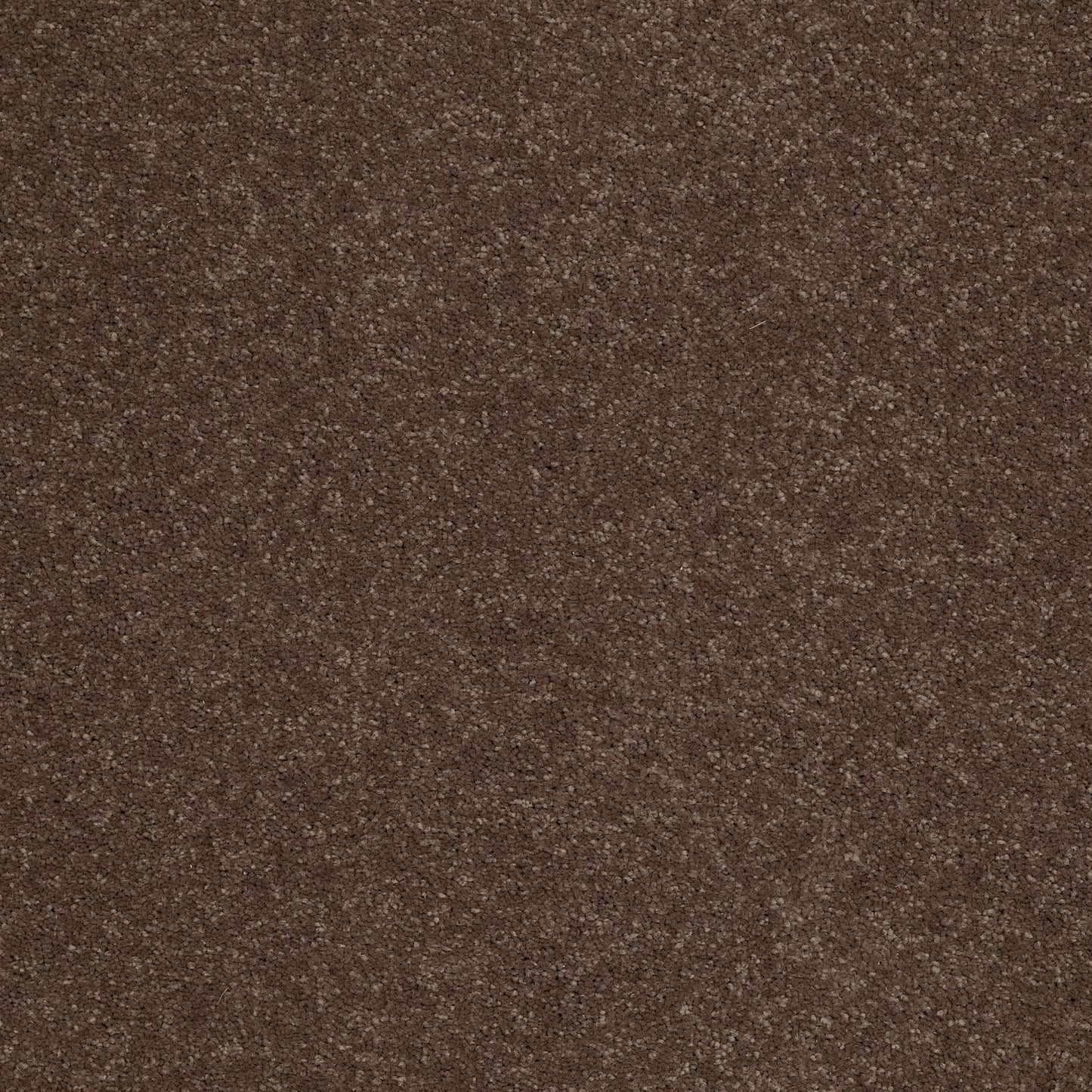 TEXTURE BCF