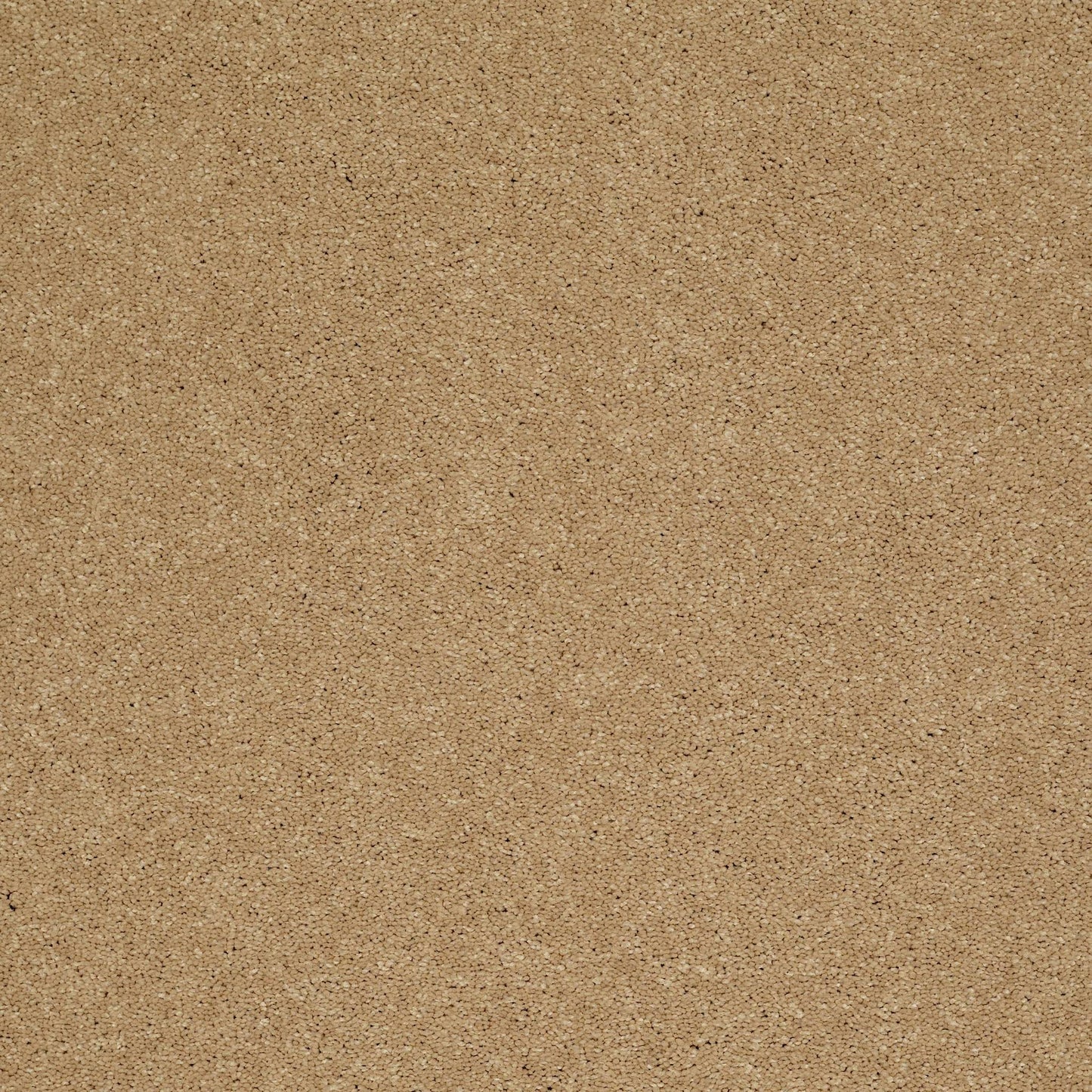 TEXTURE BCF