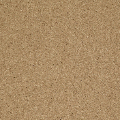 TEXTURE BCF