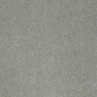 TEXTURE BCF