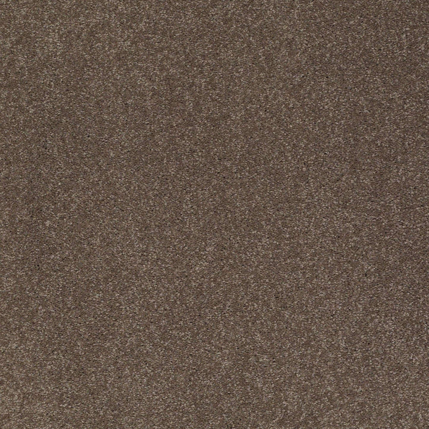 TEXTURE BCF