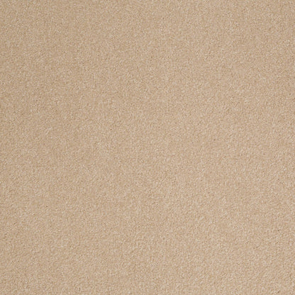 TEXTURE BCF
