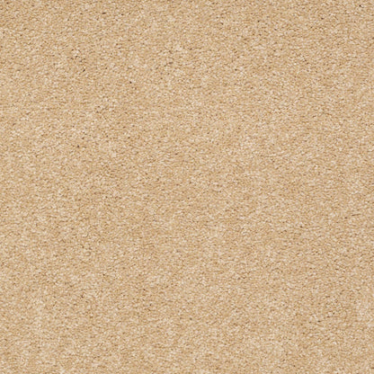 TEXTURE BCF
