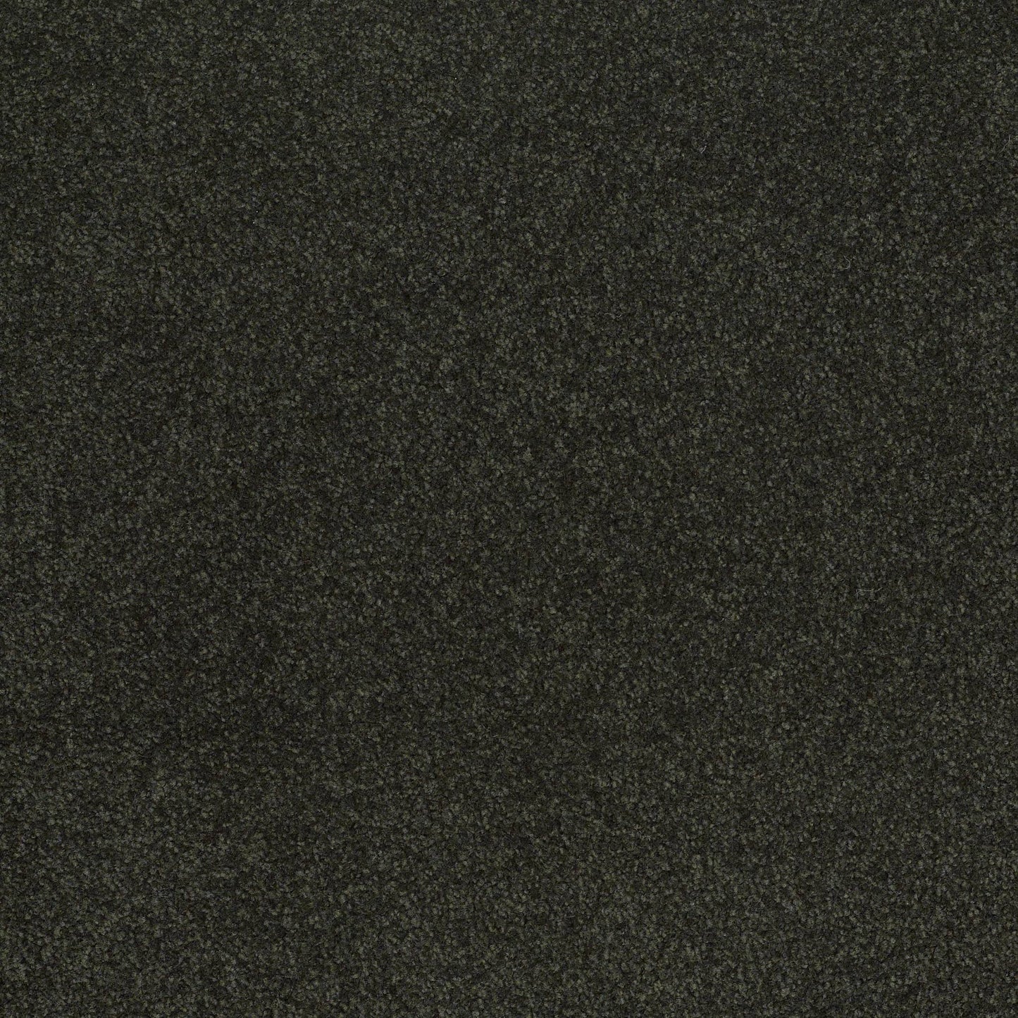 TEXTURE BCF