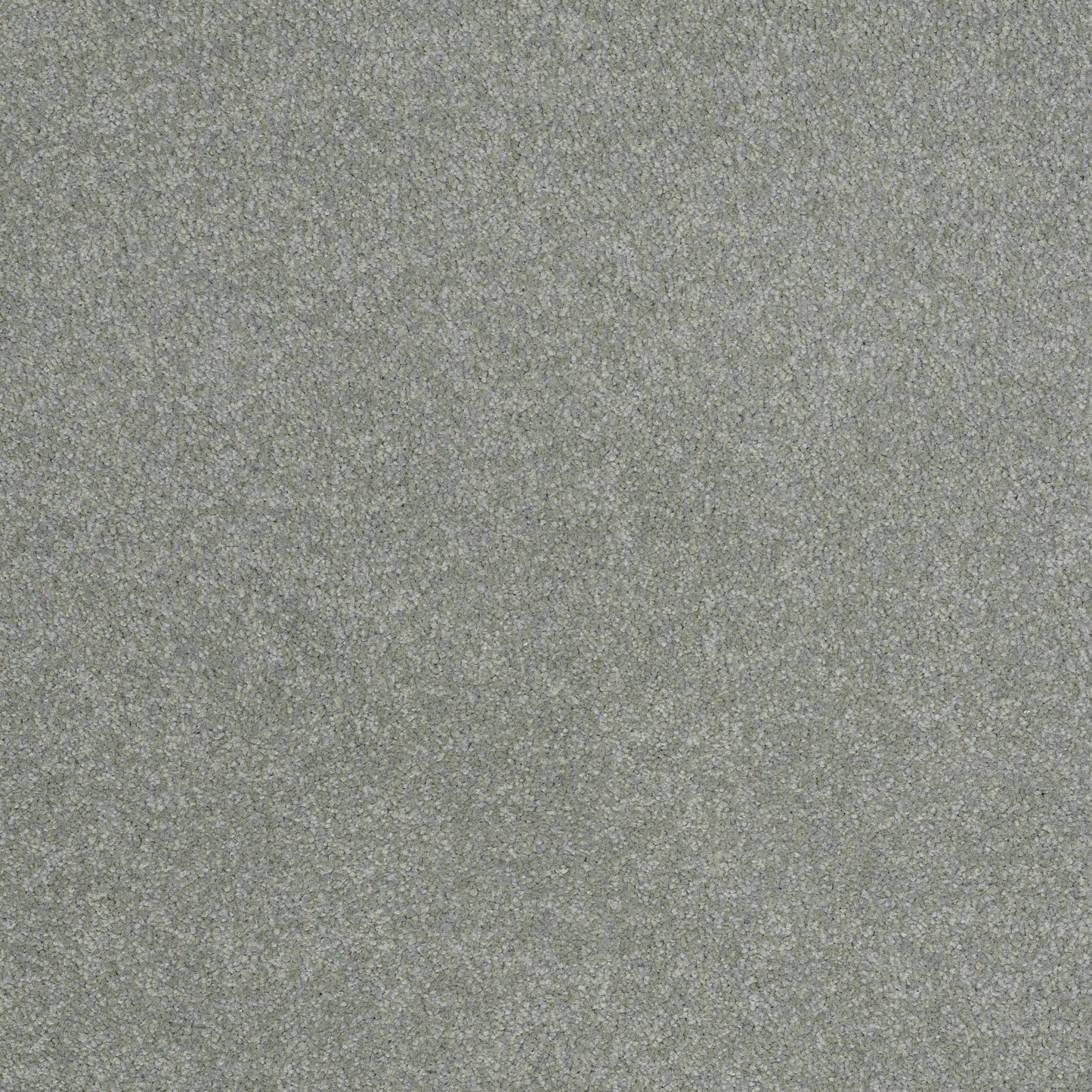 TEXTURE BCF
