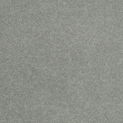 TEXTURE BCF