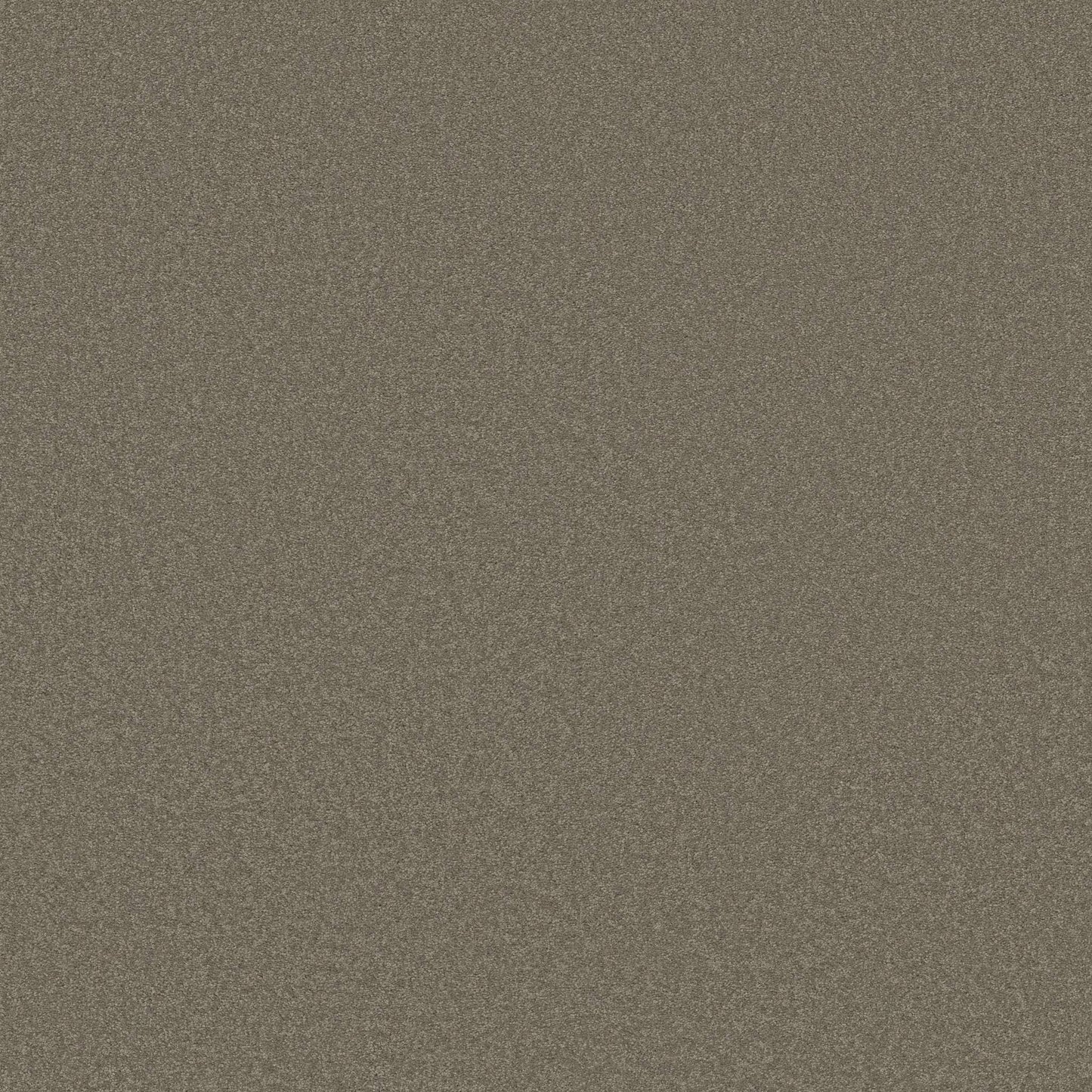 TEXTURE BCF