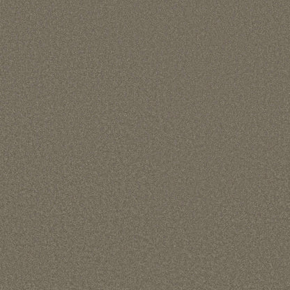 TEXTURE BCF