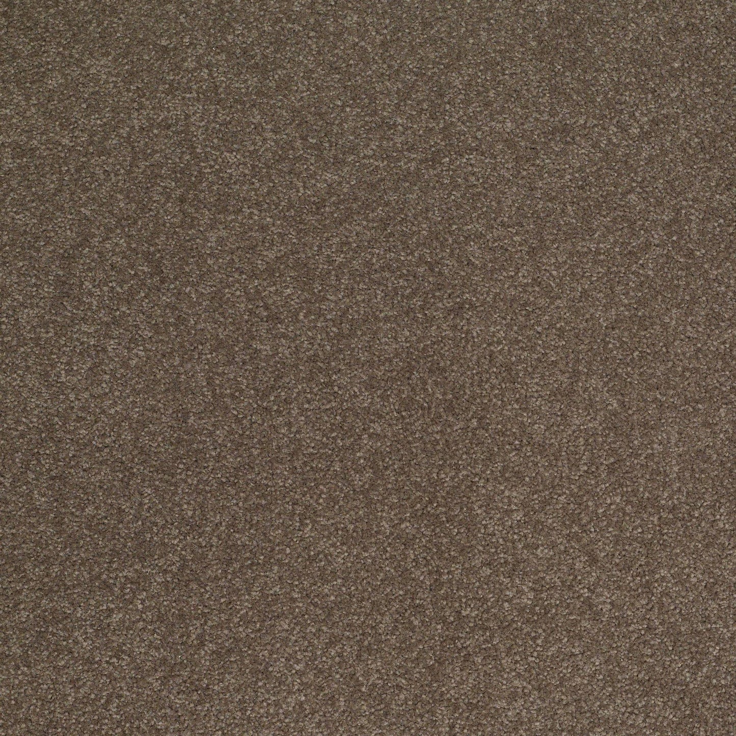 TEXTURE BCF