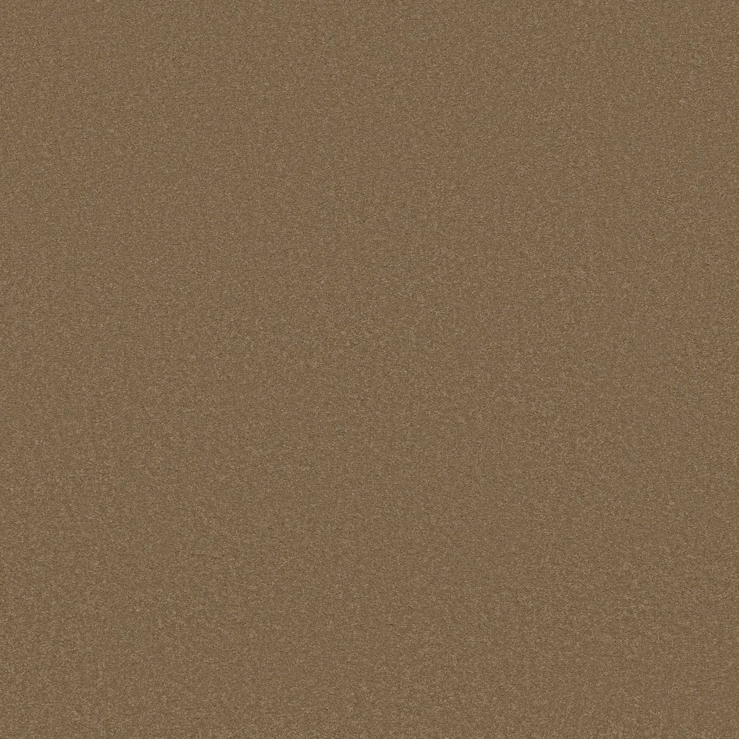 TEXTURE BCF