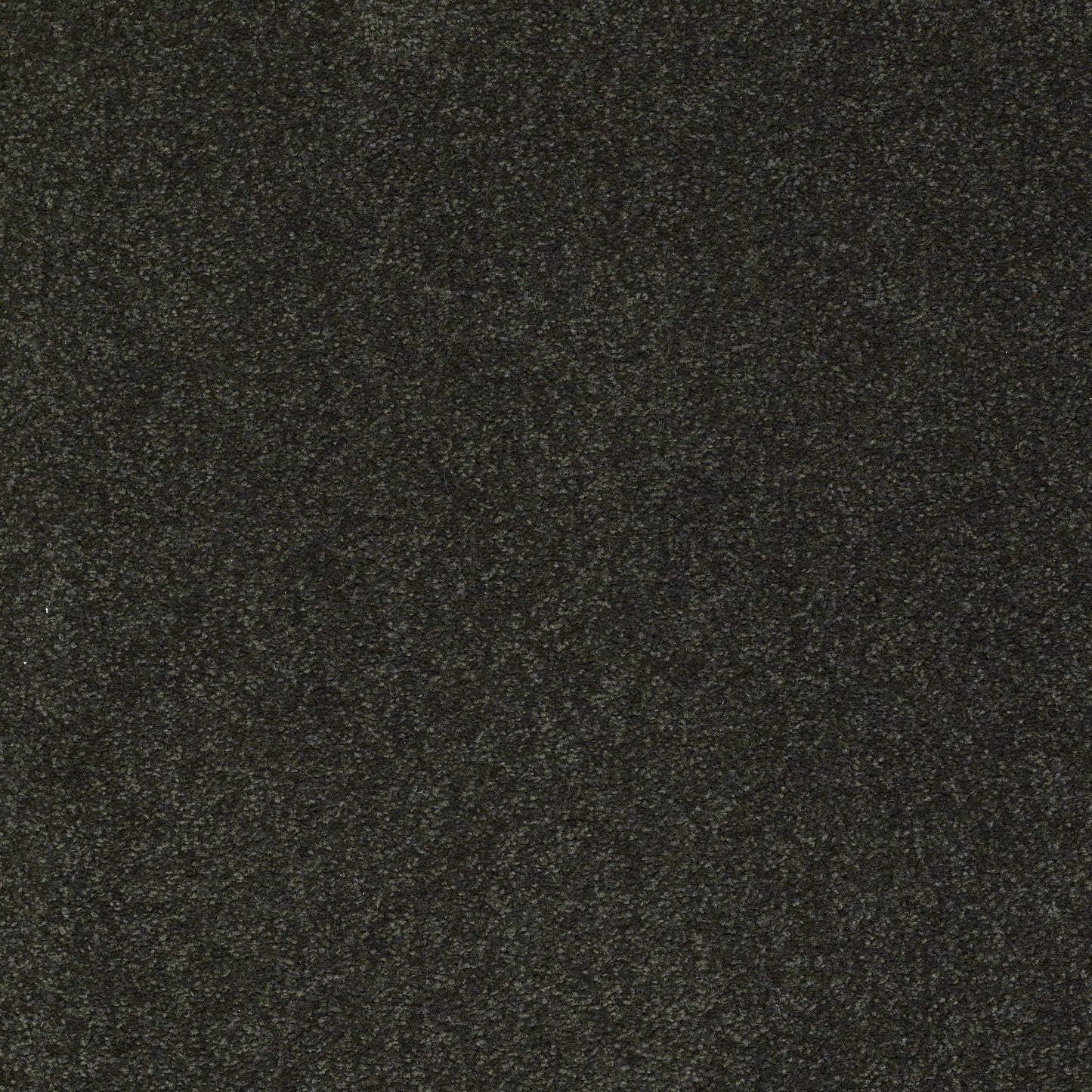 TEXTURE BCF