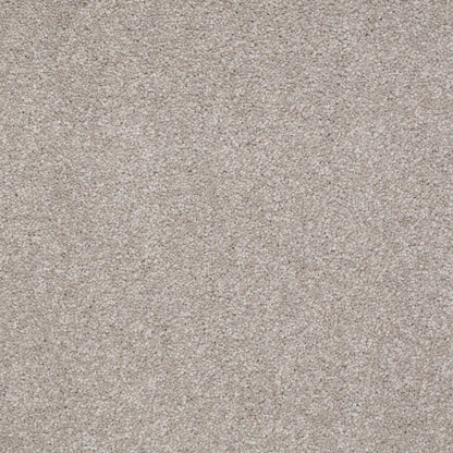TEXTURE BCF
