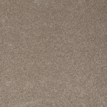 TEXTURE BCF