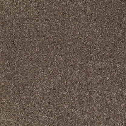 TEXTURE BCF