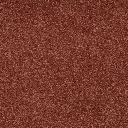 TEXTURE BCF