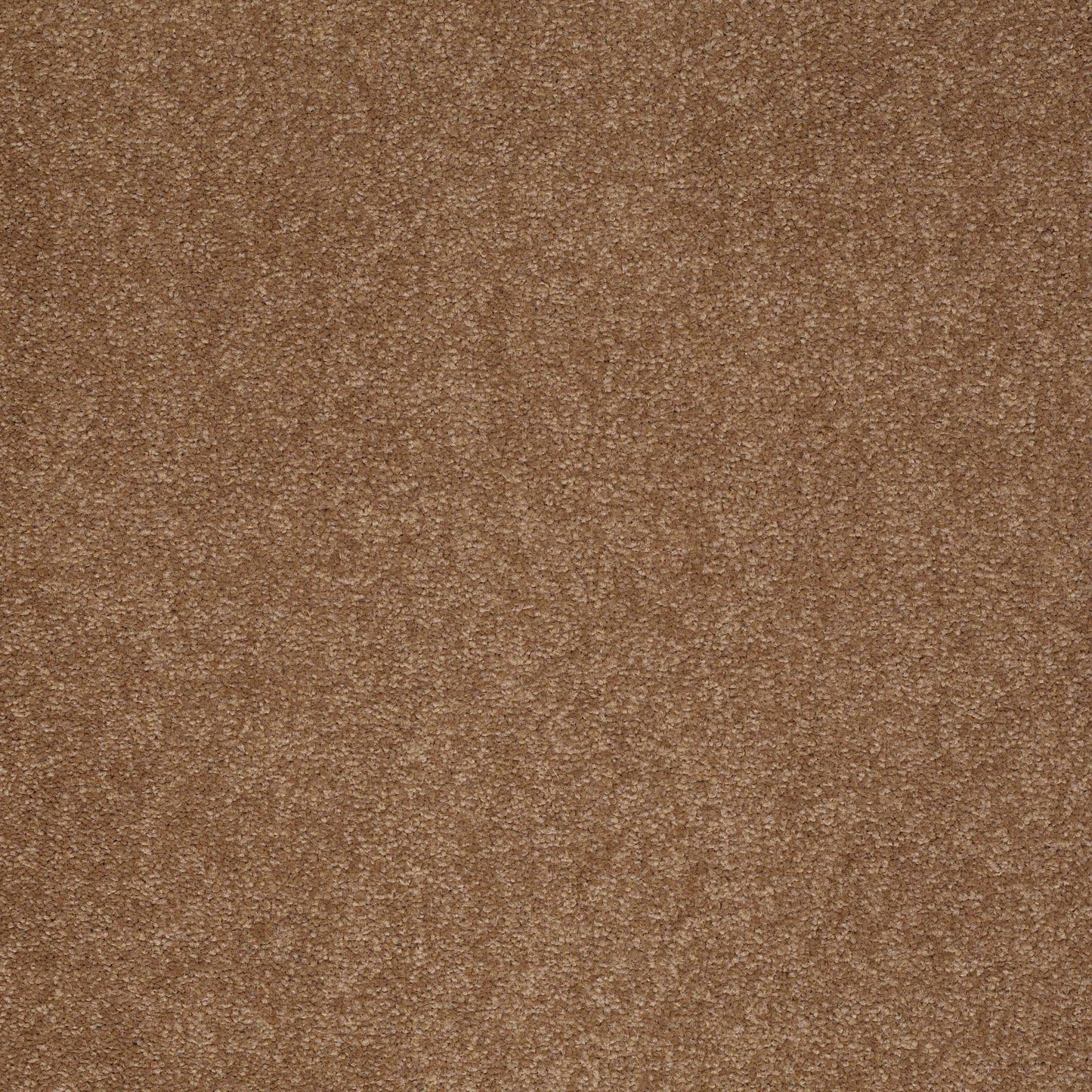 TEXTURE BCF