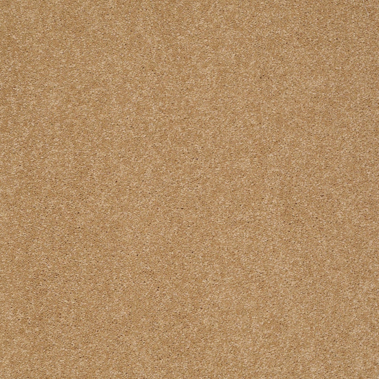 TEXTURE BCF