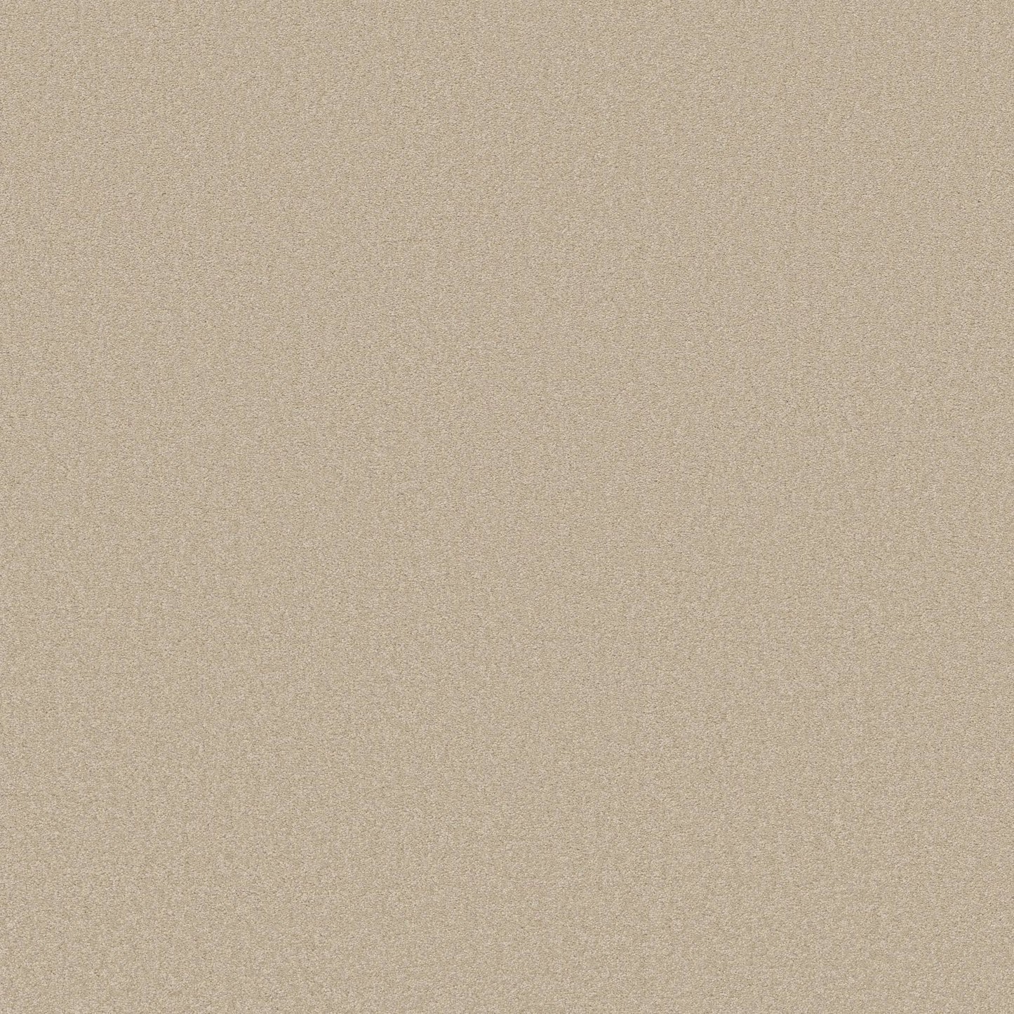 TEXTURE BCF